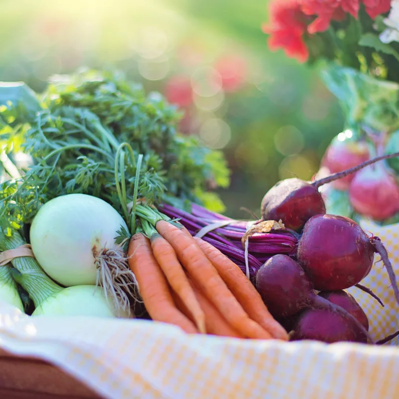 Les adresses de producteurs locaux en Bièvre Isère, sur les Terres de Berlioz.